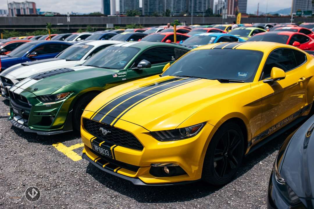 Mustang-Club-1.jpg