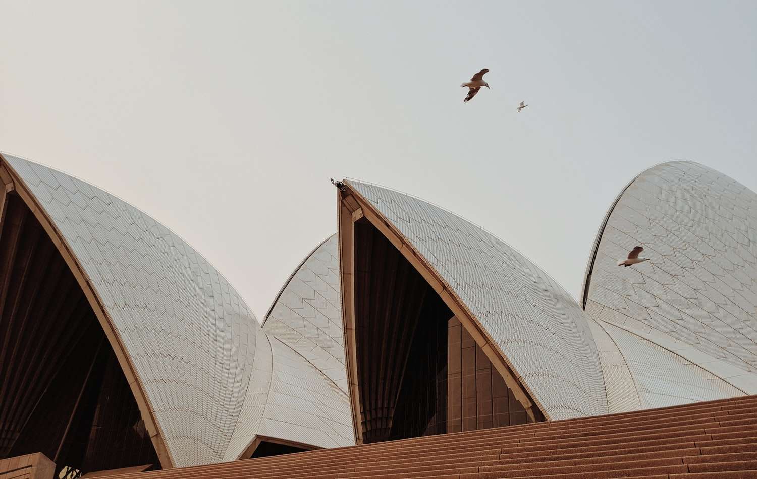 Malaysia-–-Australia-is-Excited-to-Welcome-You-Back.jpg