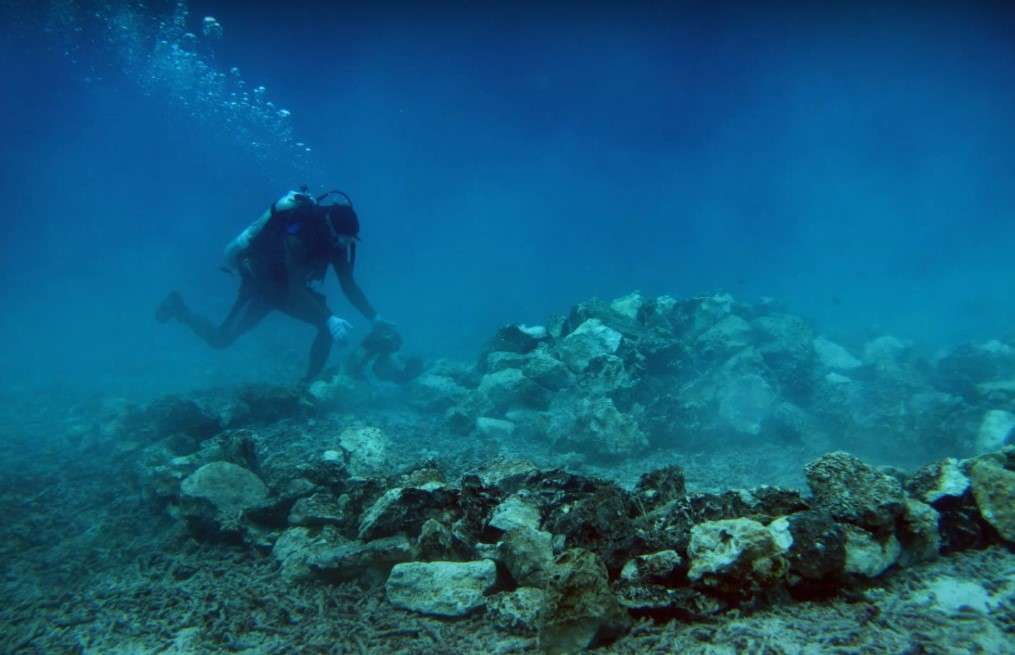 Epson-partners-with-WWF-to-scale-up-marine-restoration-impact-and-achieve-a-low-carbon-future.jpg