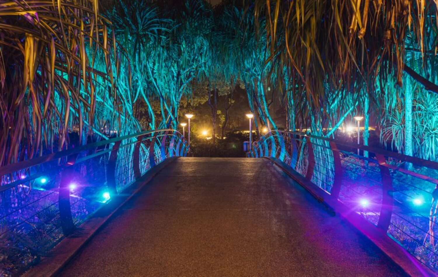 NORDIC-LIGHTS-ILLUMINATE-PARKCITY-YEAR-END-LIGHT-FESTIVAL.jpg