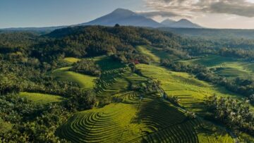 Bali-Indonesia.jpg